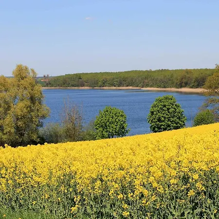 Ferienhaus Mit 4 Schlafraeumen Boisterfelde Uck 1111 Holiday home *